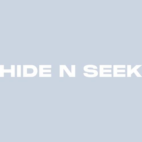 Hide N Seek logo