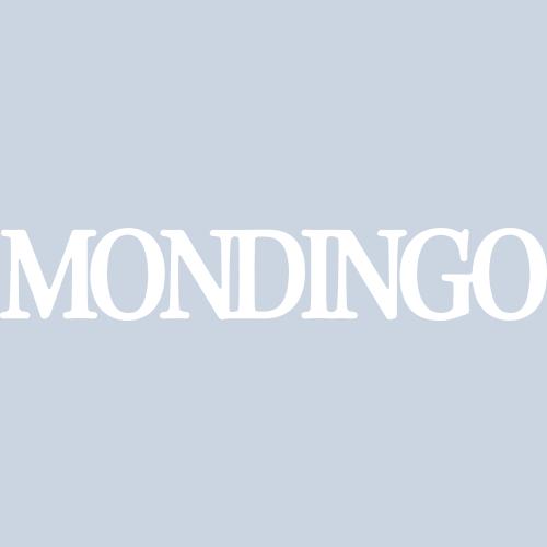 Mondingo logo